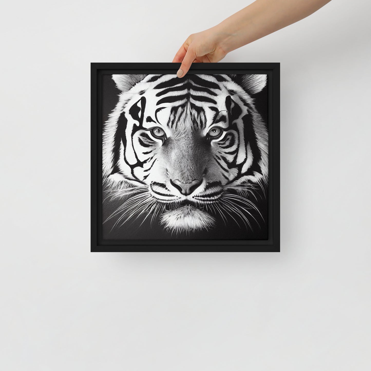 White Tiger (Framed Canvas)